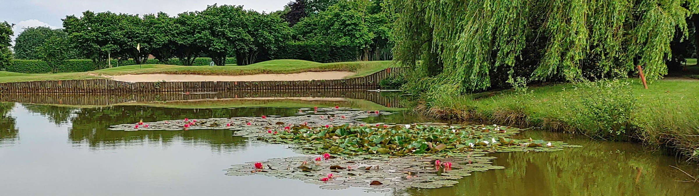 Willkommen im Grünen Willkommen im Grünen