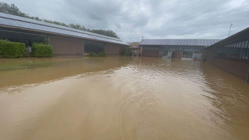 GC Schloss Miel: Vor den Hallen braucht man Gummistiefel GC Schloss Miel: Vor den Hallen braucht man Gummistiefel