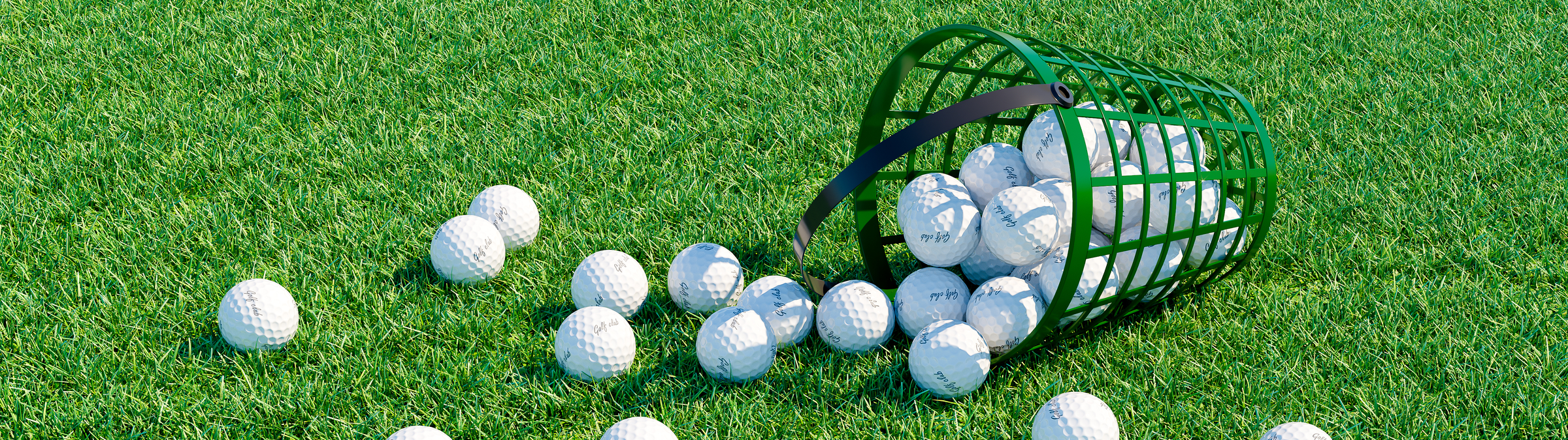 Husch, aus dem Körbchen! Husch, aus dem Körbchen!