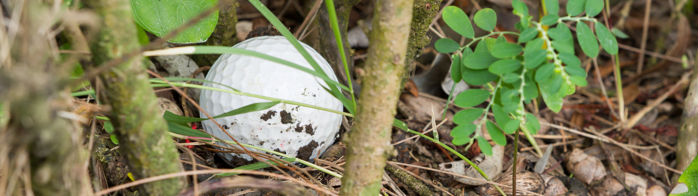 Wenn der Ball verloren oder im Aus ist ... Wenn der Ball verloren oder im Aus ist ...