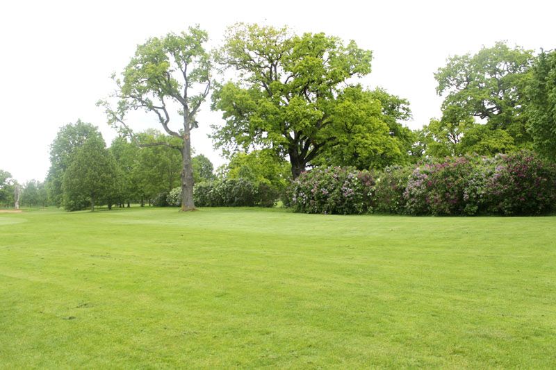 ... und überall Flieder ... und überall Flieder